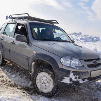   Niva - , 